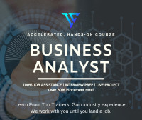 Business Analyst Course with Job Assistance - learn from experts