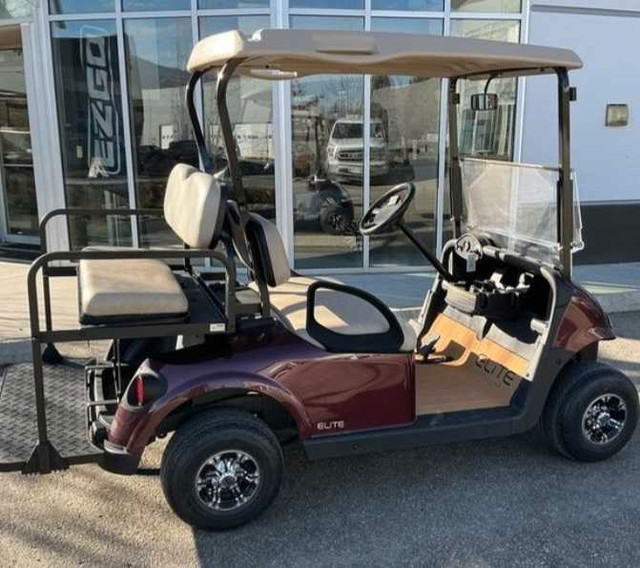 Lithium Golf Cart  in Other in Calgary