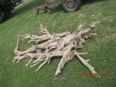 Large piece of Driftwood, View more