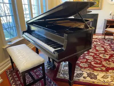 Baby Grand Piano, View more