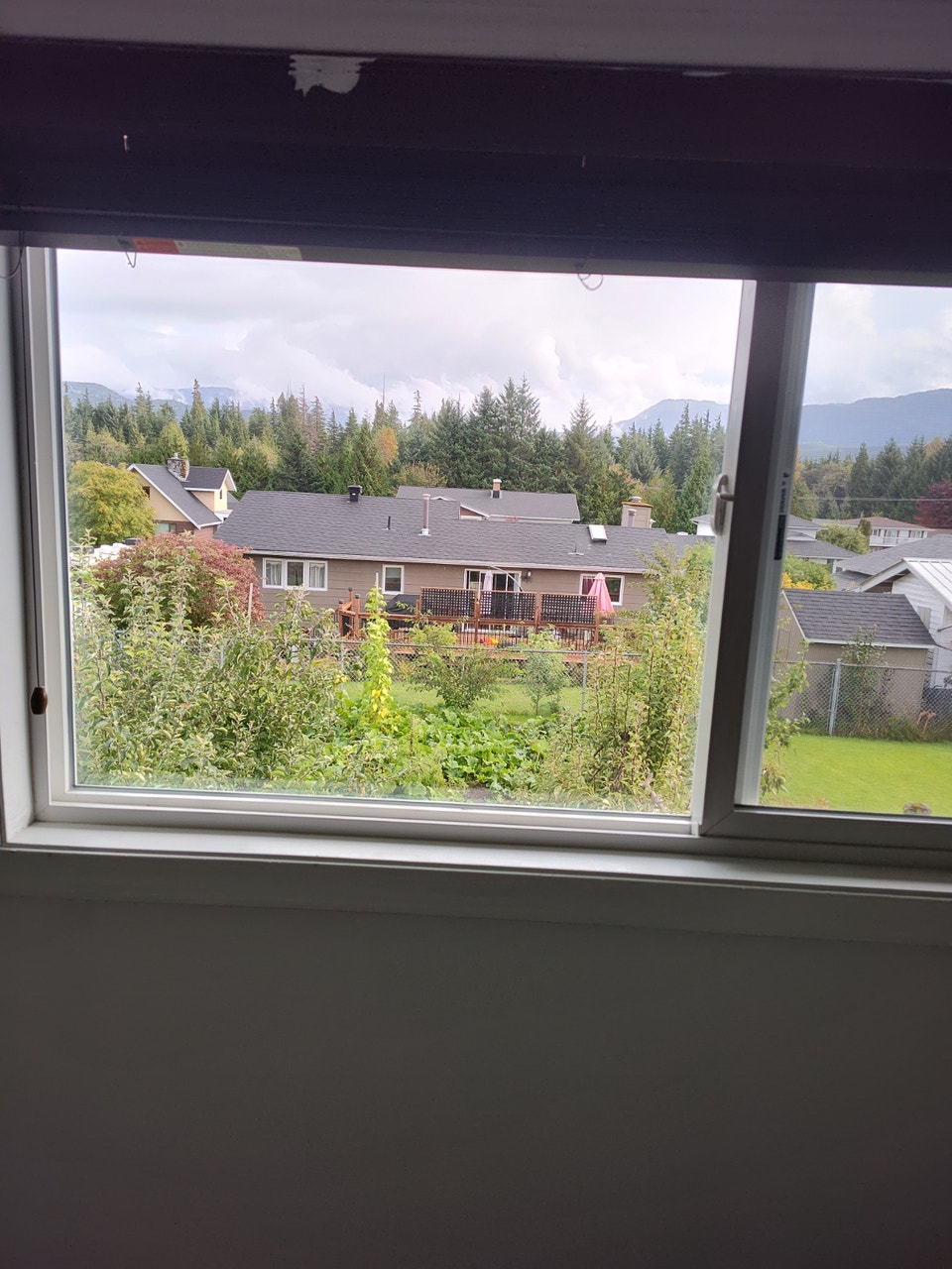 Newly updated and renovated upper class 3 Bed 1 Bath apartment 3