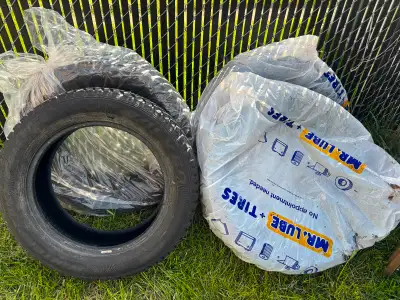 Winter Tires - used in 2 winters. Still in great condition, just don’t need them anymore. Asking $45...