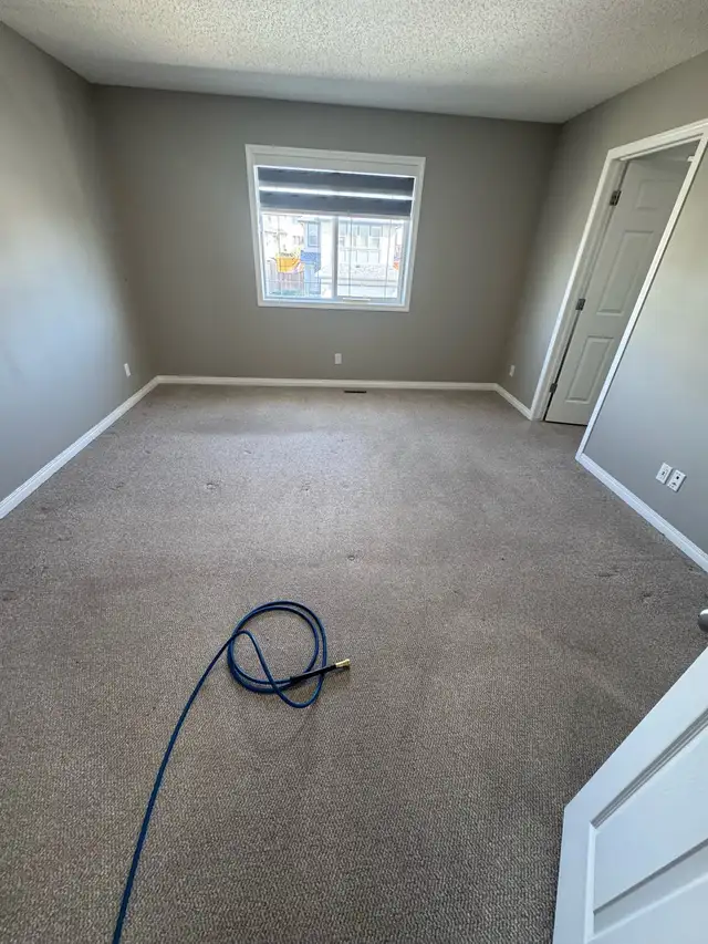 Professy Carpet Steam Cleaning62863713882243124