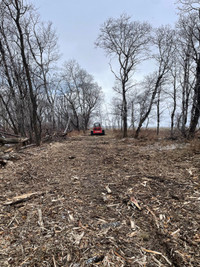 Tree mulching and land clearing 