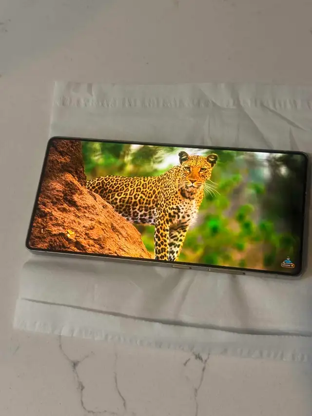 Samsung s25 ultra 256 gb