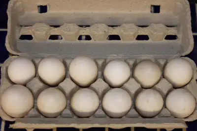 Duck eggs from free range ducks, extra large, View more