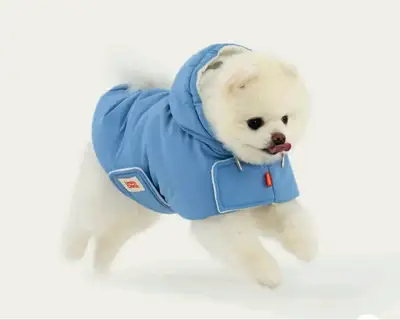 Blue puppy coat, View more