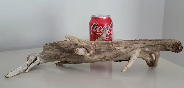 Petit Bois Flotté pour Aquarium Decorating Small Driftwood in Hobbies & Crafts in Laval / North Shore - Image 4