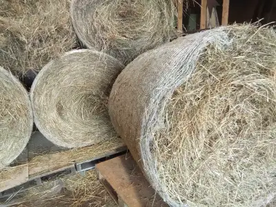 Hay for sale , View more