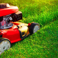 lawn mowing services - 647-919-2178