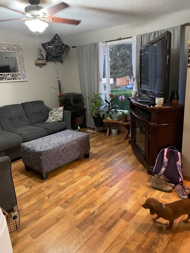 Full house , 3 bedrooms. 1.5 bathrooms. Pets ok Long Term Rentals