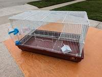 Small Animal Cage (Hamster or Gerbil)