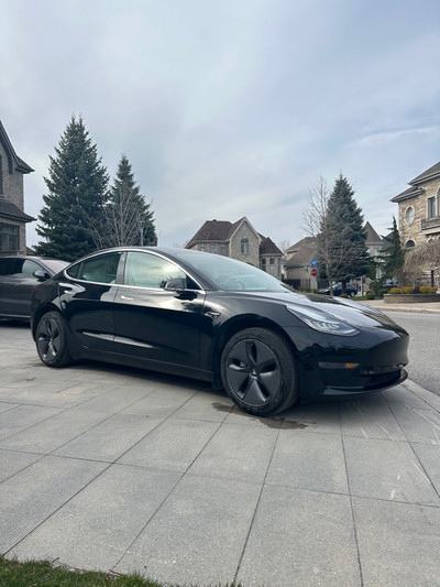 2019 Tesla Model 3 Standard Range Plus 