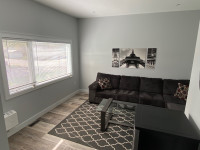 FURNISHED BEAUTIFUL NEW BRIGHT CLEAN 1 BEDROOM 