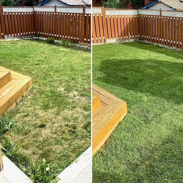 SPRING SPECIAL! RICHSCAPES LANDSCAPING in Interlock, Paving & Driveways in Mississauga / Peel Region - Image 6