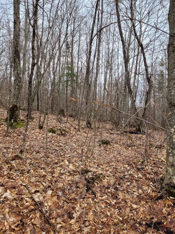 Terrain à vendre, 10 000/acre Land for Sale Gatineau Kijiji
