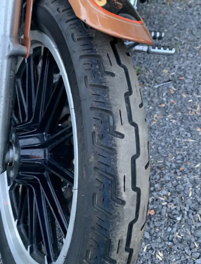 2008 Harley Davidson Sportster 1200 in Sport Touring in Napanee - Image 6