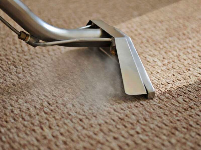 Quick And Reliable Carpet Steam Cleaning Services  in Cleaners & Cleaning in Edmonton