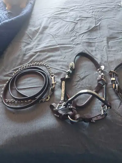 2 b size minature horse show halters , View more