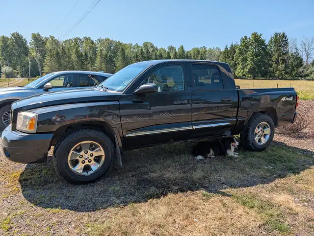 Dodge Dakota 2007 truck633513497639711225