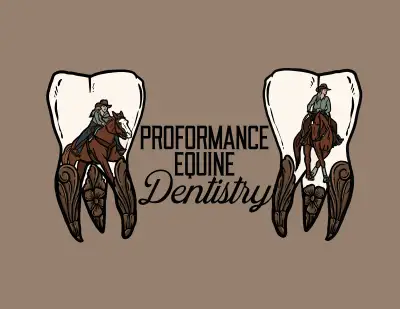 Equine Dentistry, View more