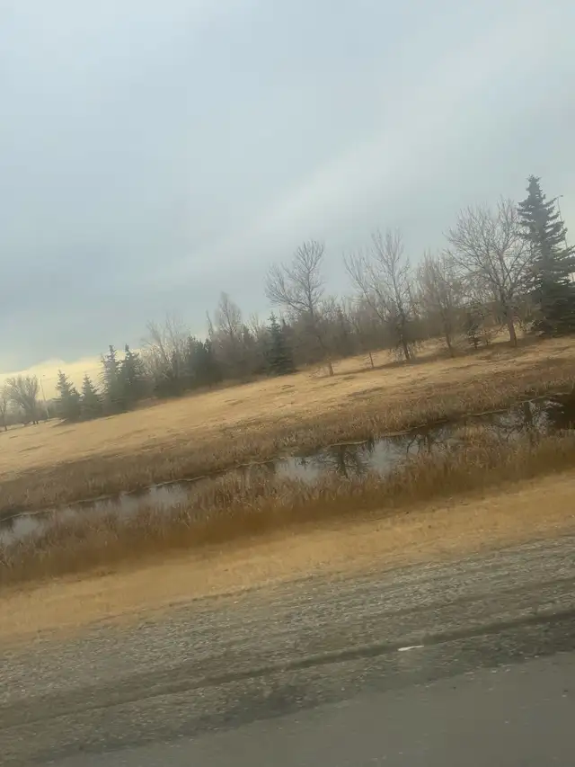 need a place in dec64520050130177120