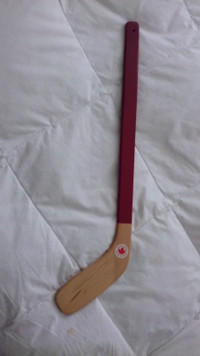 Detroit Red Wings 1998 Stanley Cup Champions Mini Hockey Stick