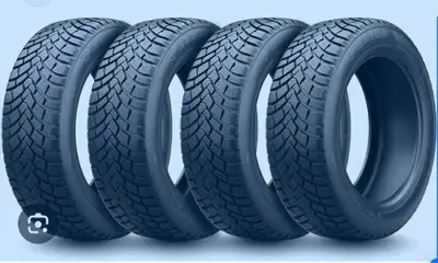 Brand new with tags still on them. 205/55/r16. Can be studded. Paid 1200 asking 800 or best offer.