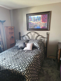 Fully Furnished Room Available June 1st