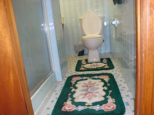 Furnished Room for Rent ASAP in Room Rentals & Roommates in City of Toronto - Image 11