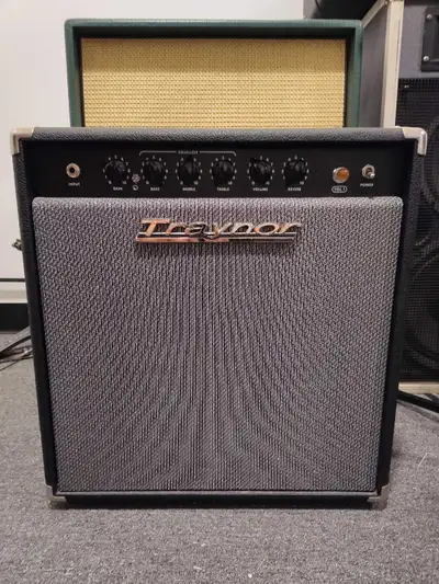 Traynor YGL -1 Tube Amp, View more