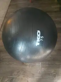Exercise ball 