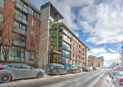 Très beau logement ensoleillé, 100% meublé et équipé, plafond en béton à 11 p. D’hauteur. 2CC avec f...