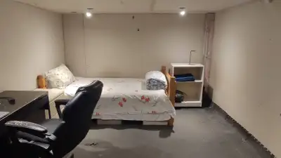 Airbnb Bloor Dufferin basement room available short/long term