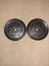 8 LB Weights - $15 for Both