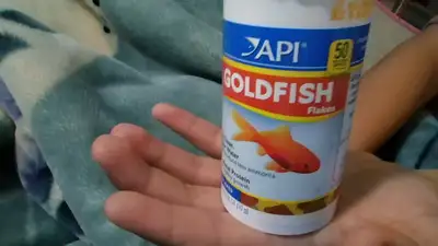 gold fish food, View more