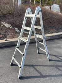 Ladder 11ft reach Cosco