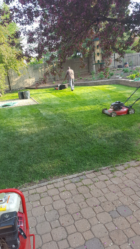  Spring into Action with The Little Greens Lawn Care!  in Lawn, Tree Maintenance & Eavestrough in Edmonton - Image 4