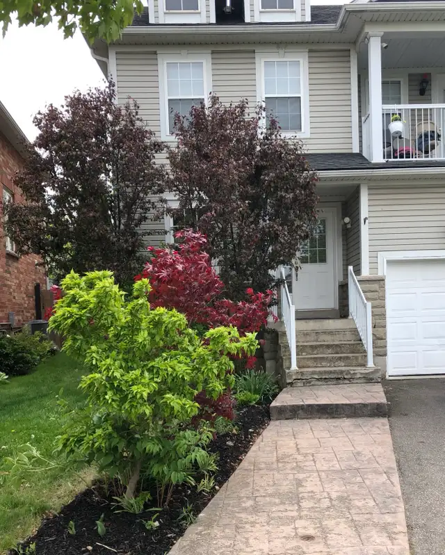 Rooms for Rent, walk to Niagara College