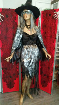 Ladies Web Witch Costume