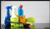 House Cleaner Services