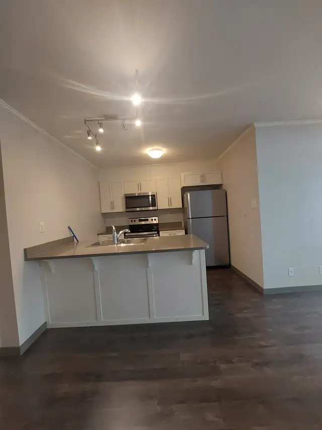Modern 2 Bed, 1 Bath Walkout Condo | Patio | In-Suite Laundry