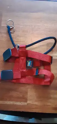 Cesar Millan Illusion Training Collar