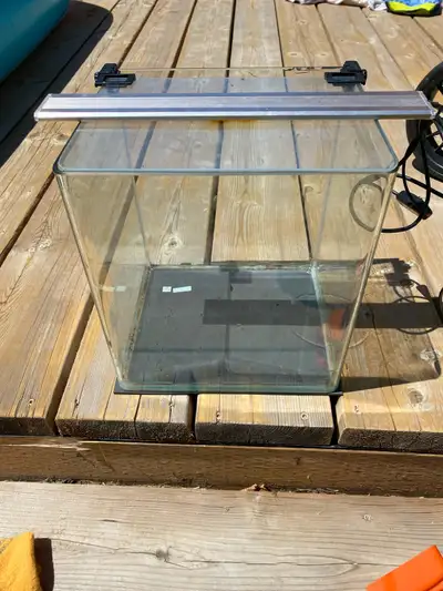 3 Gallon Aquarium setup, View more