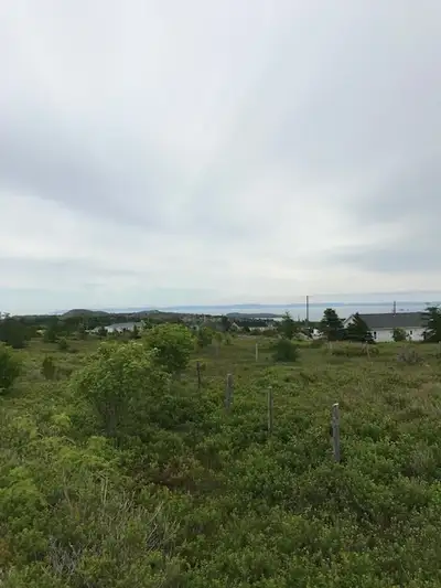 Land for Sale - Carbonear, NL.