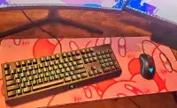 Razer keyboard and mouse
