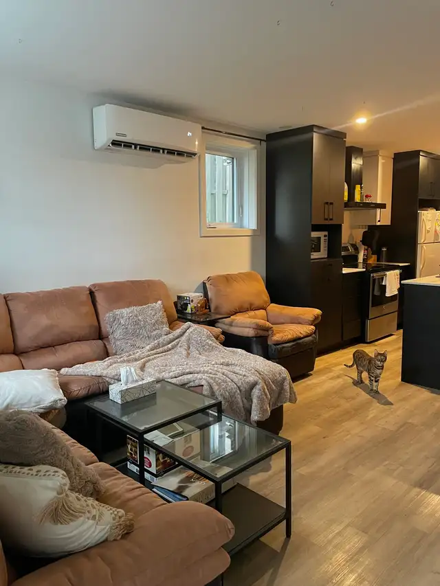 Chambre à louer  in Room Rentals & Roommates in Longueuil / South Shore - Image 3