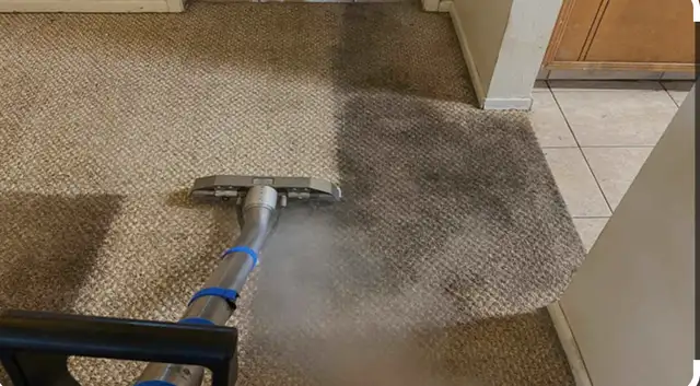 DAL’S CARPET CLEANING62864742448769123