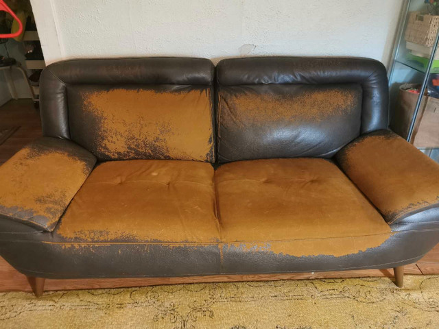 Free comfy couch pleather rubbed off  in Free Stuff in Winnipeg
