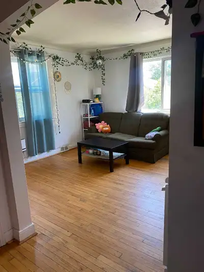 Cozy and bright 2 bedroom Apt in walking distance to U of O for rent for May/June 1st, 2926. Close t...